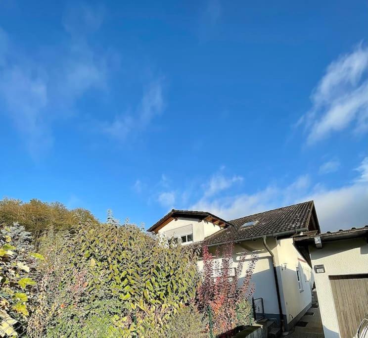 Modernes Apartment Mit Top Ausstattung Und Kamin Im Oberpfaelzer Seenland Nittenau ภายนอก รูปภาพ
